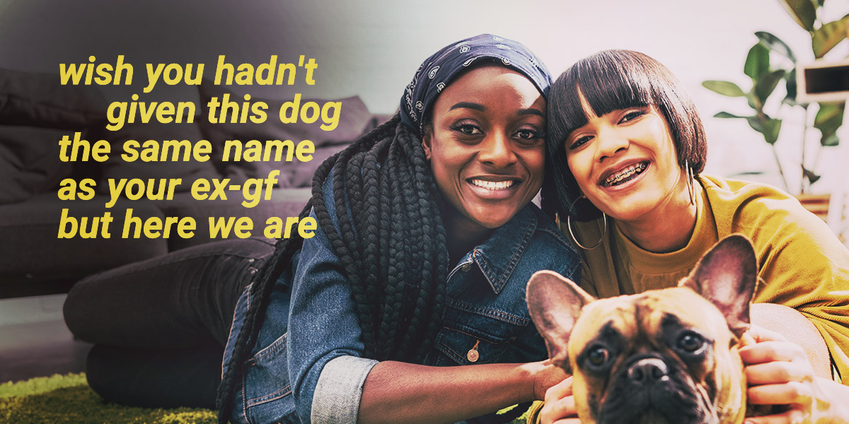 The Truth About Cats and Dogs and Gay Dating