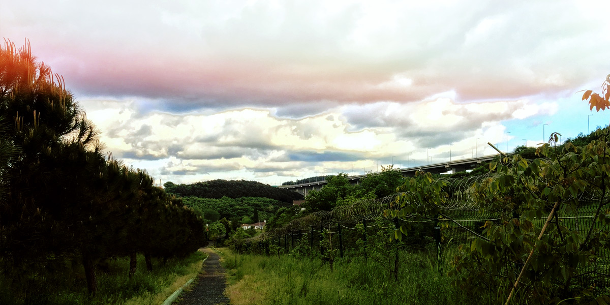 Where Can You Take a Walk in the Park?