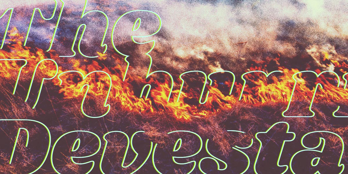 Like a House on Fire