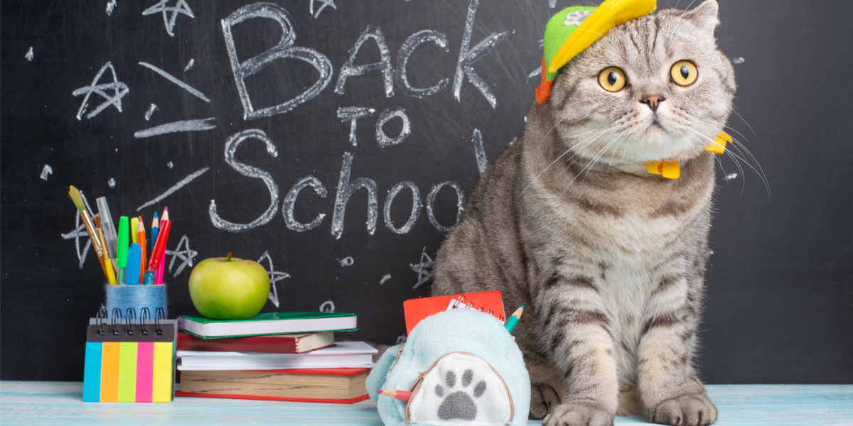 FRIDAY OPEN THREAD: What Are Your Back To School Impulse Buys?