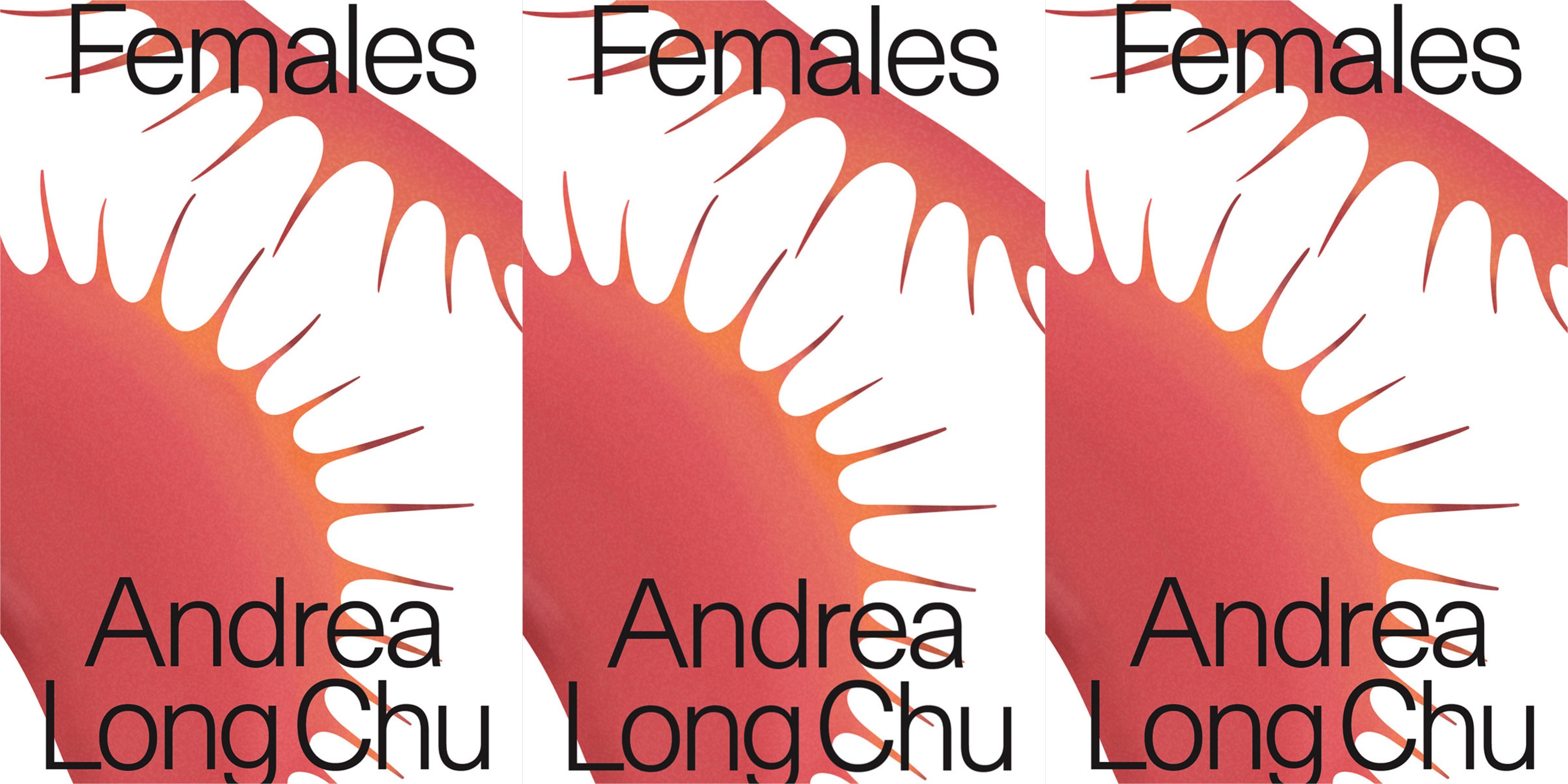 Andrea Long Chu’s “Females” Is More Than a Provocation