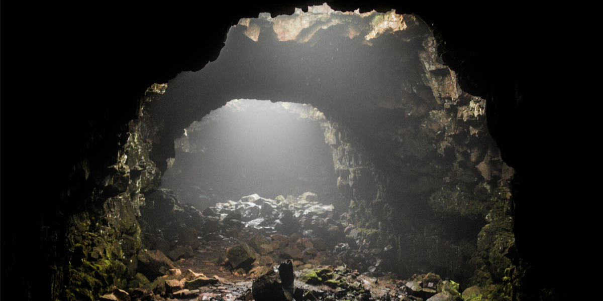 Five Perfect Holiday Gifts for the 8,000 Spiders Who Raised You in That Damp Cave