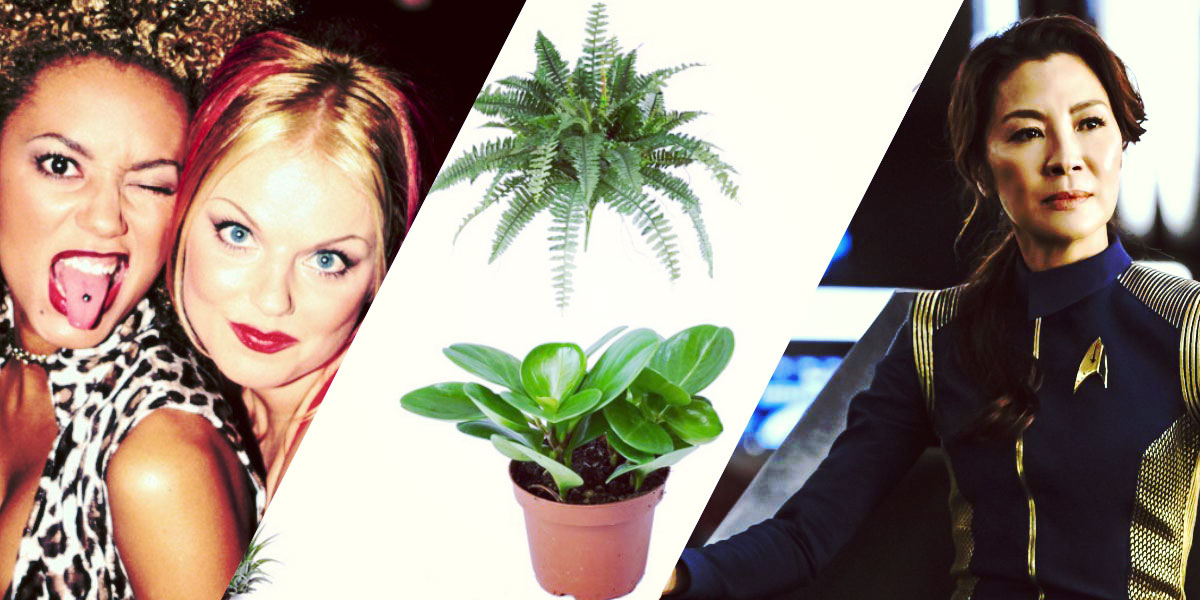 The 20 Most Popular Autostraddle Posts of 2019