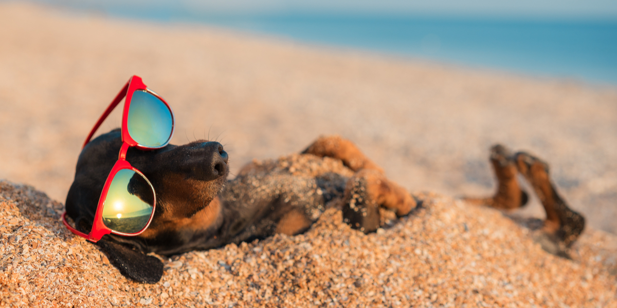 This Just In: Going On Vacation Is Relaxing and Fun!