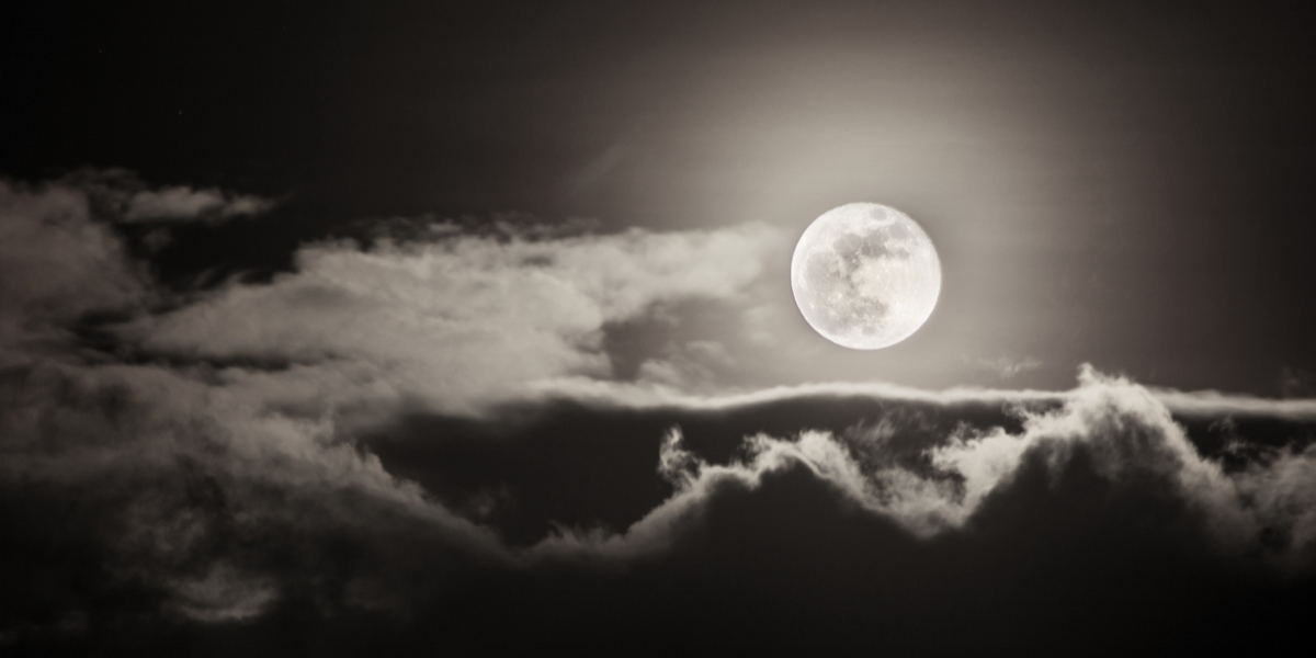The Moon Is A Lesbian and So Am I