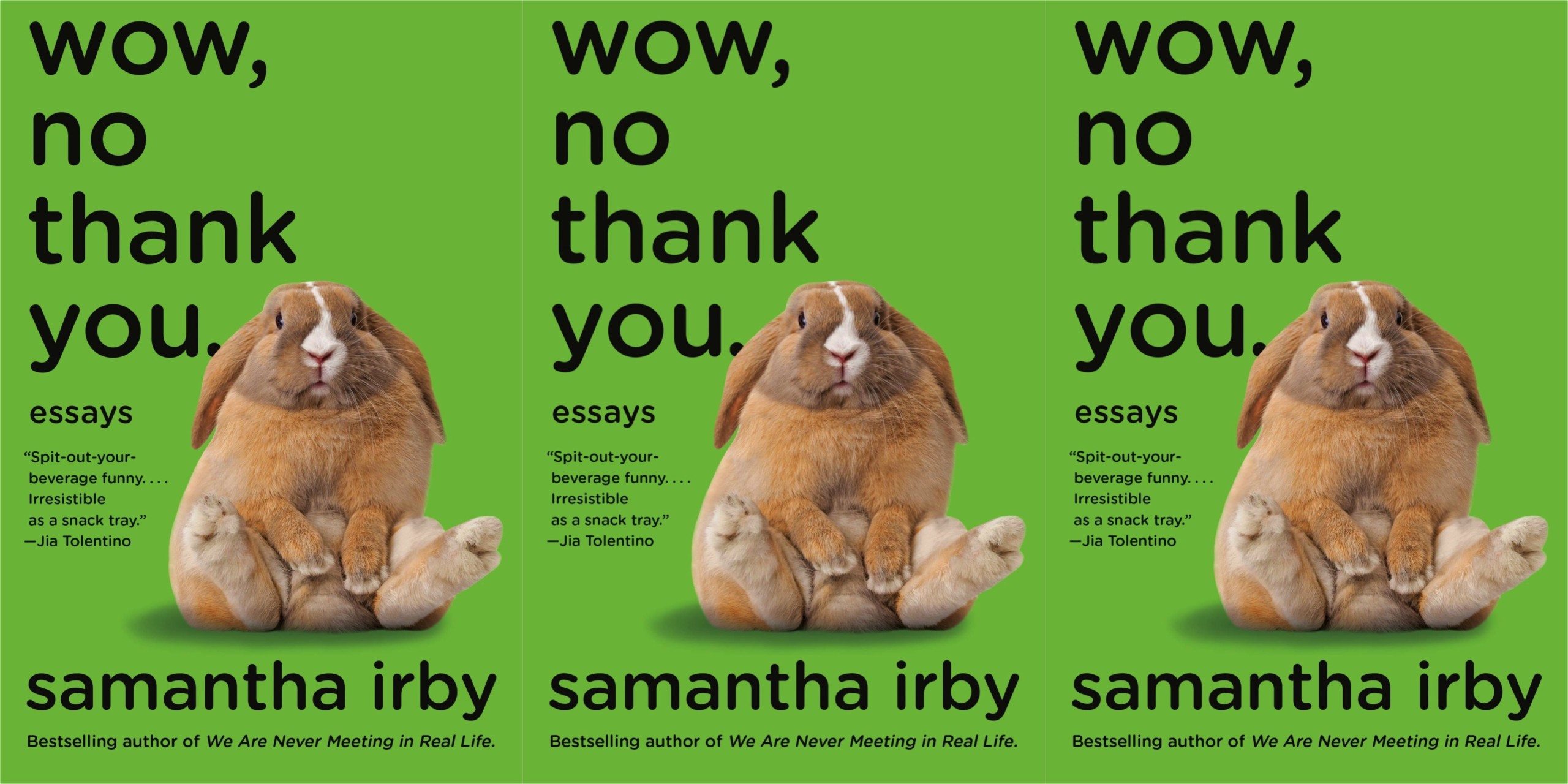 Samantha Irby’s “Wow, No Thank You.” Masters the Art of Self-Deprecation