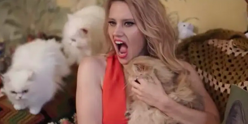Pop Culture Fix: Kate McKinnon Is Obviously Playing Carole Baskin in the “Tiger King” TV Series