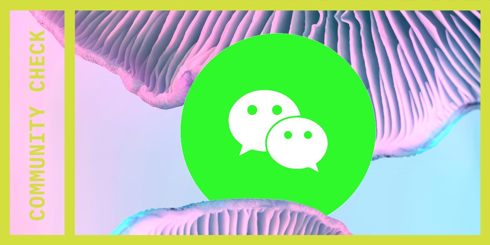 My Mother’s WeChat Mutual Aid Network Is a Project of Diaspora Activism