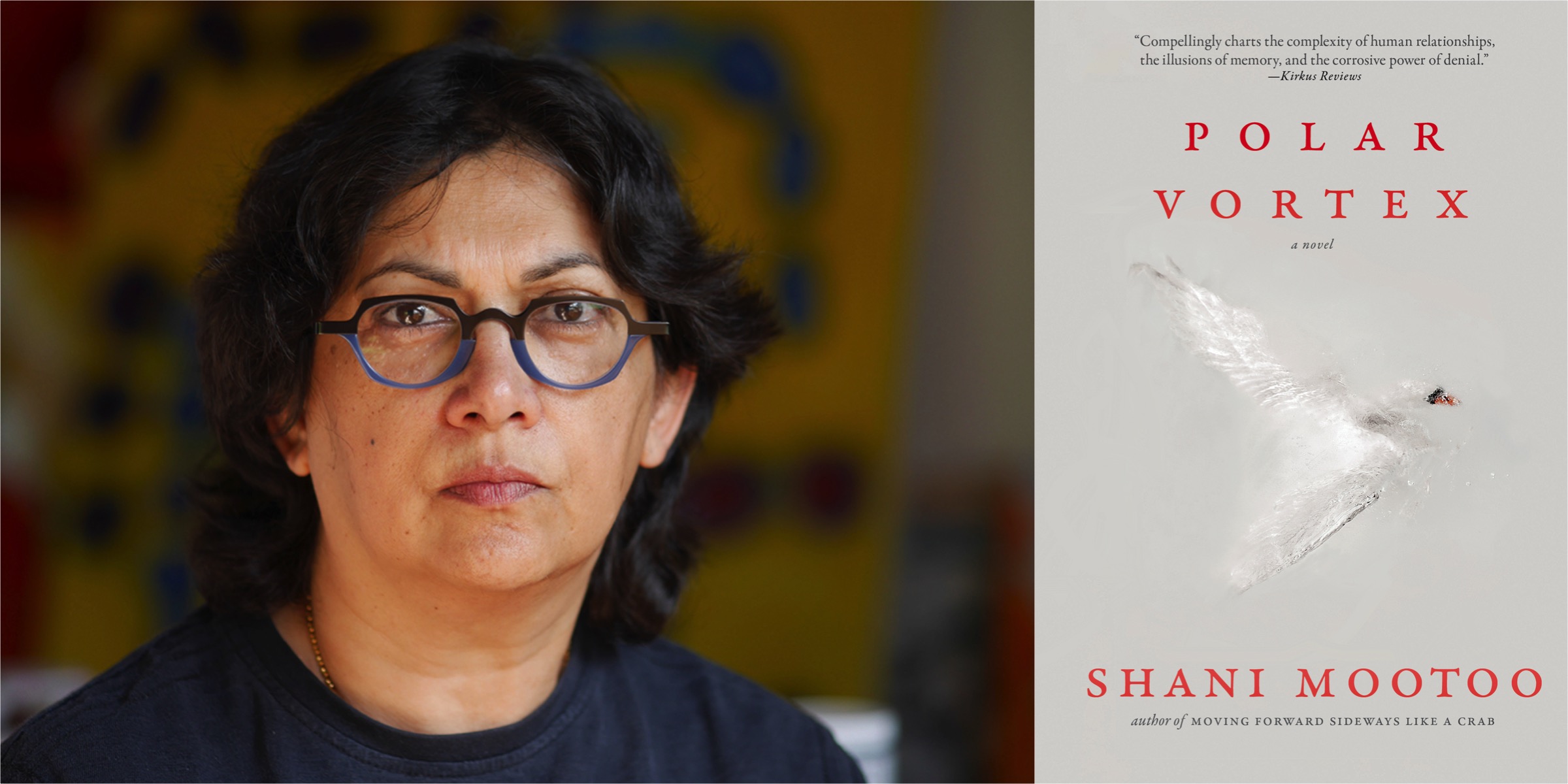 Talking with Shani Mootoo on the True Story That Became Dark Lesbian Novel “Polar Vortex”