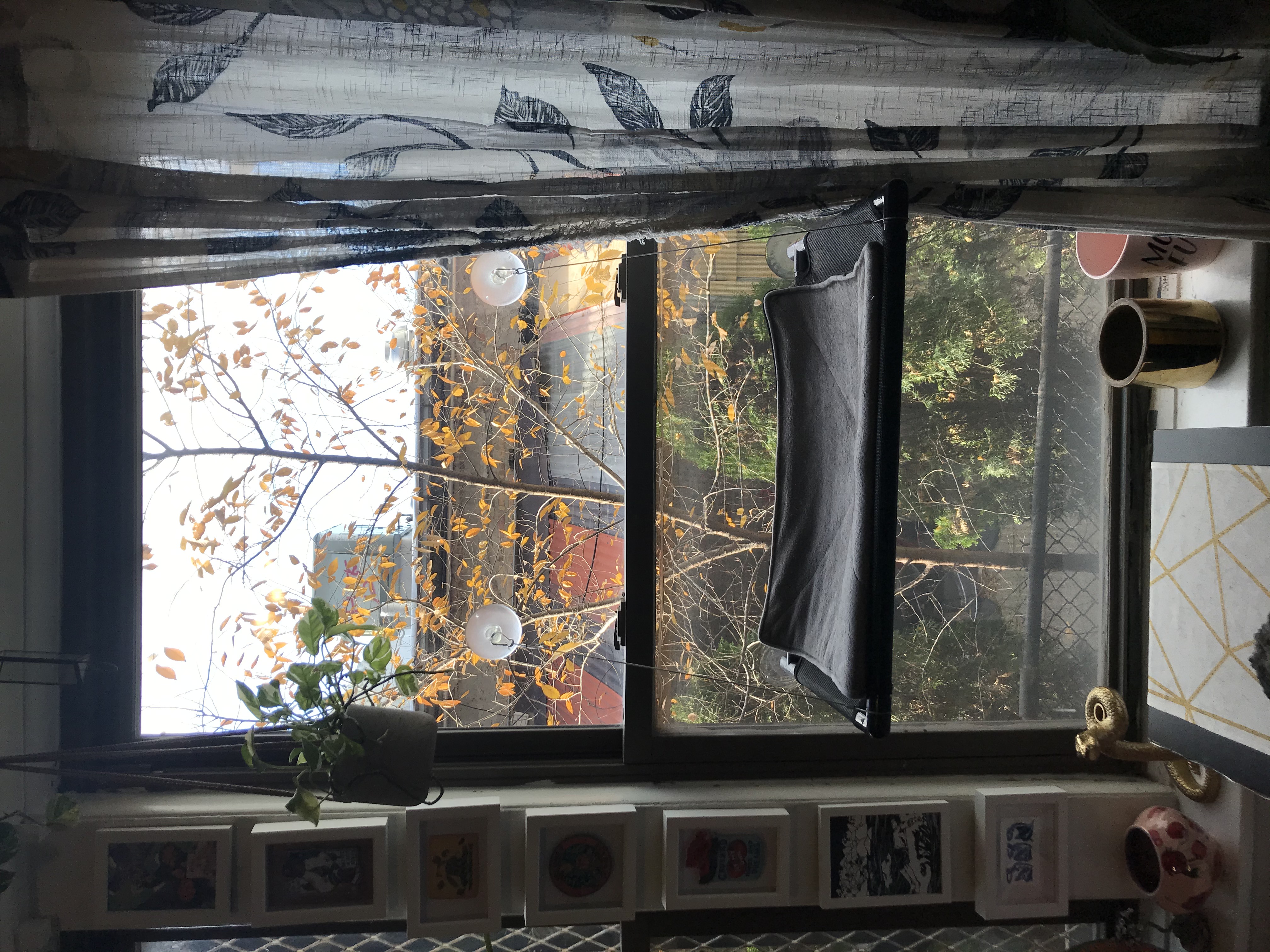 A photo through the author's apartment window looking out onto a rainy skyline of buildings.