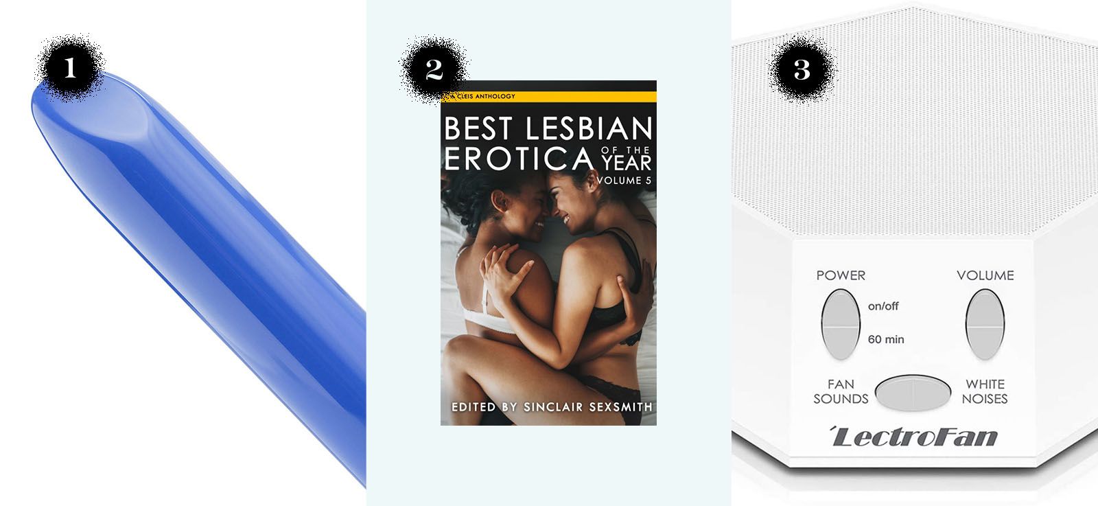 The we-vibe tango, the "Best Lesbian Erotica 2020" book, the LectroFan premium white noise machine.