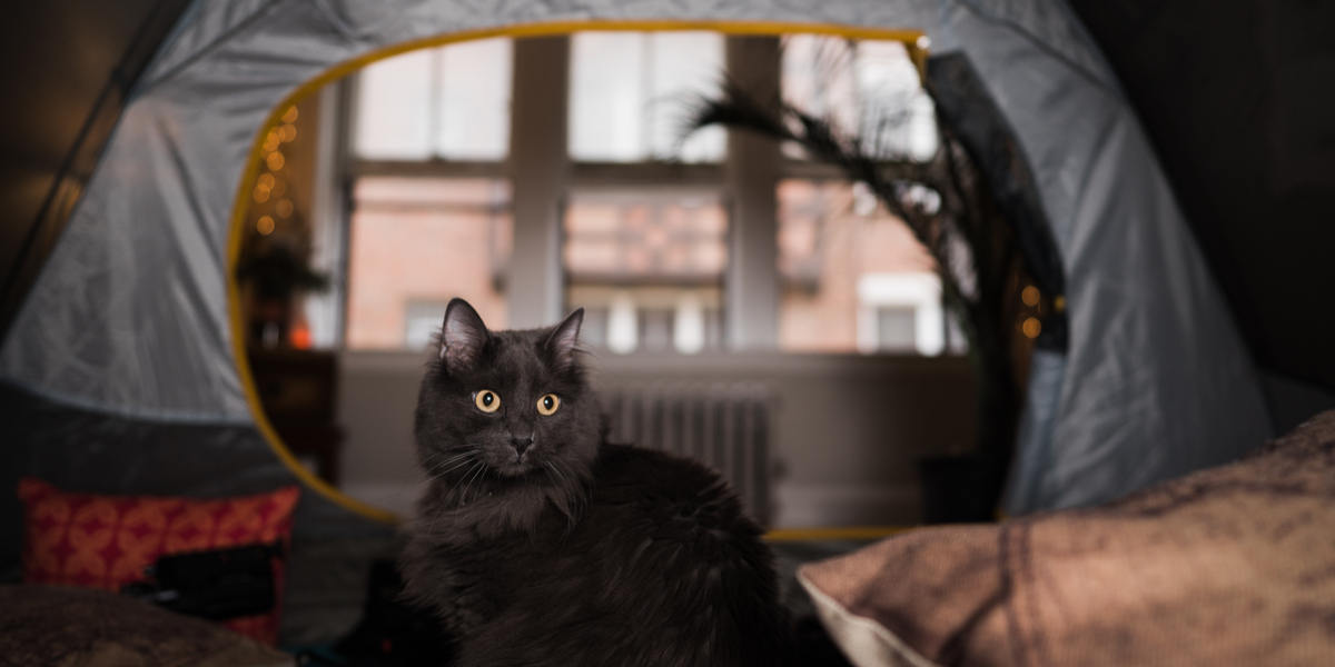 A Guide to Camping at Home During Quarantine