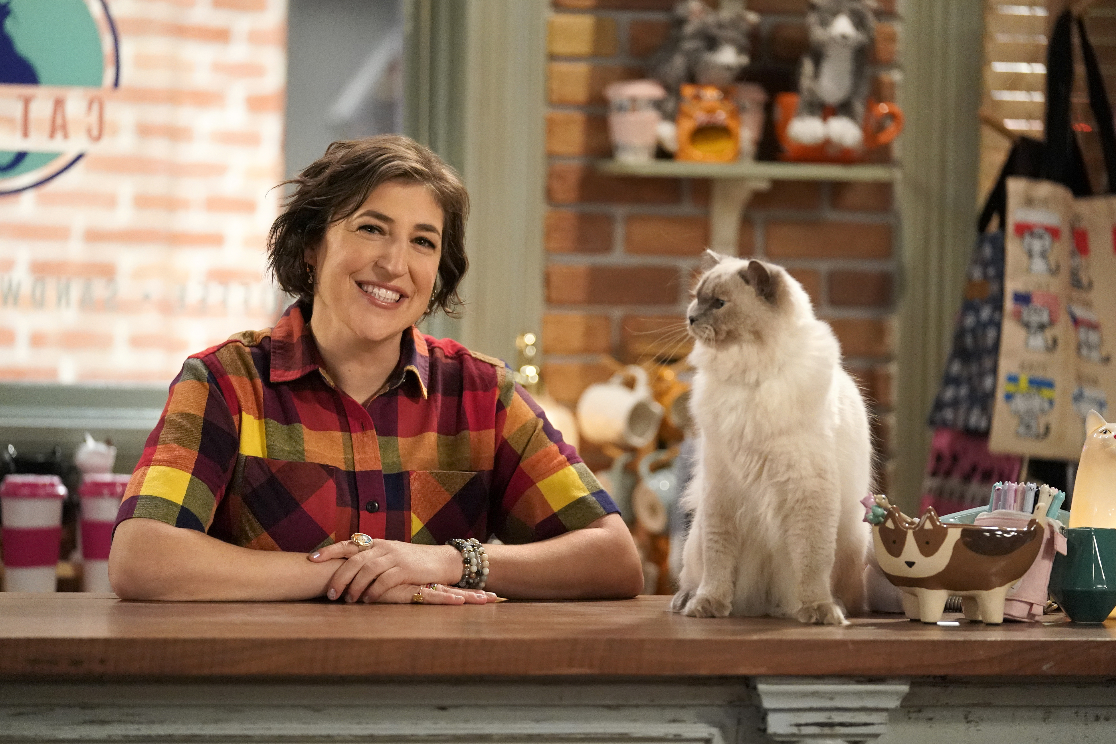 Mayim Bialik sits with a cat on the counter of the cafe she owns in Call Me Kat.