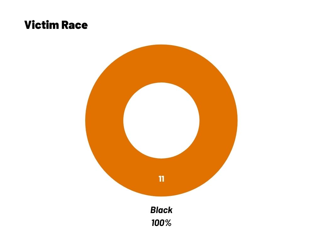 A circle chart that shows all 11 people victim to anti-trans homicides were Black.