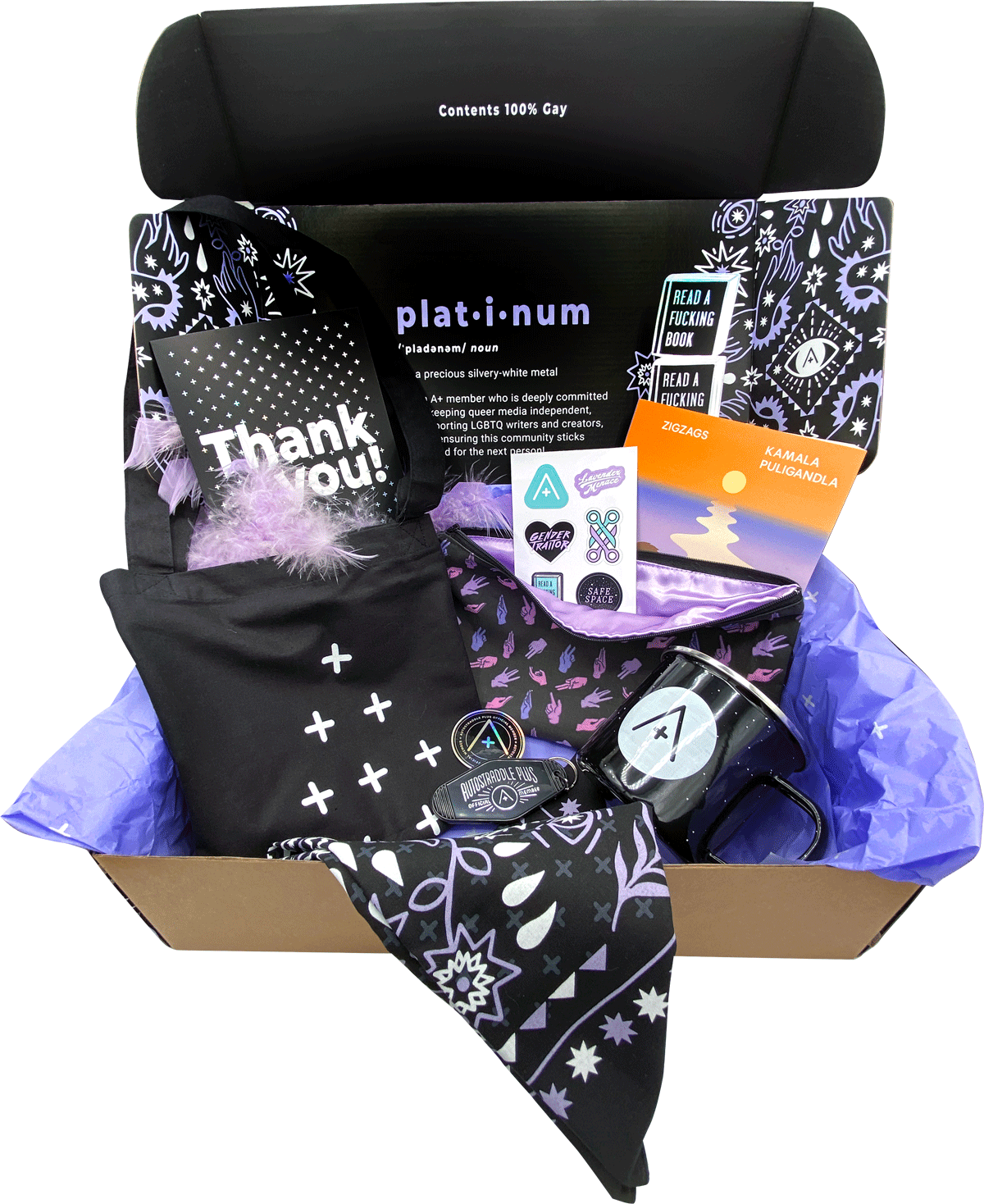 A photo of the A+ platinum box full of goodies.