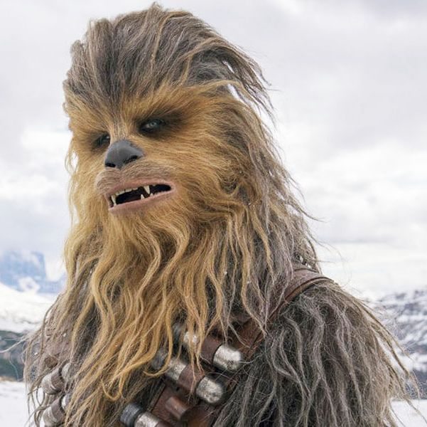 Chewbacca from Star Wars, of the hairy wookie alien race, looking wistful against a snowy backdrop