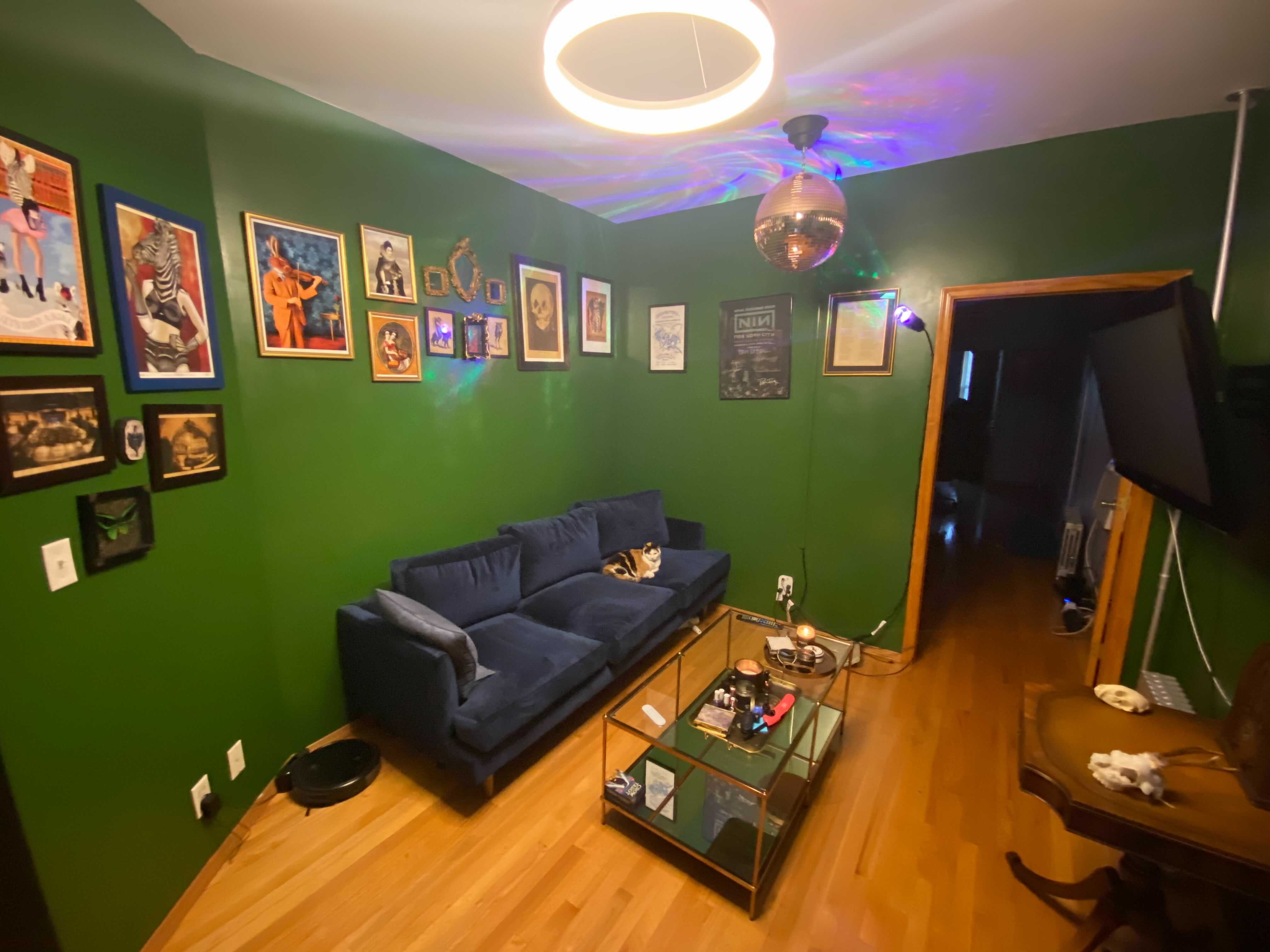 Living room with green walls, warm hardwood floors, a blue couch, and prints in a line around the wall
