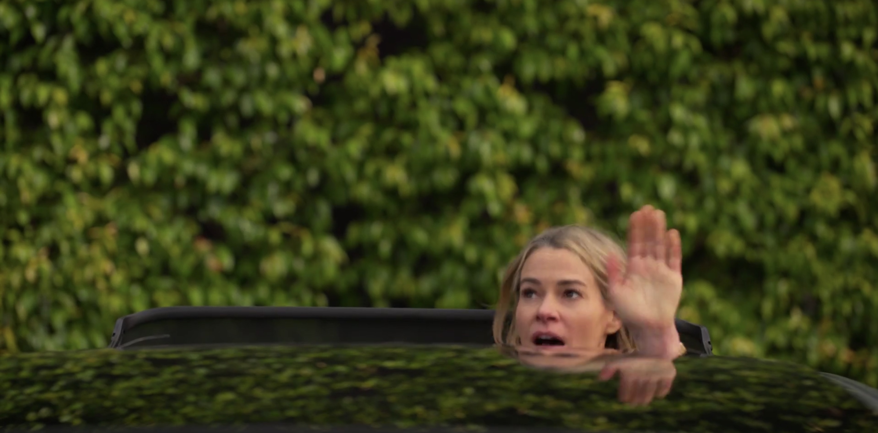 Alice's head popping out of the car hood