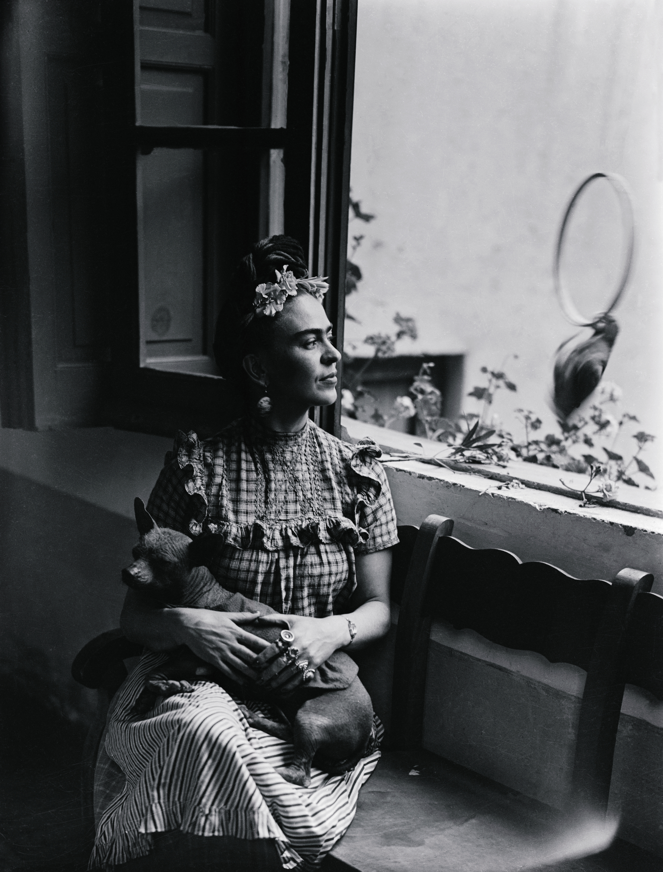 Frida Kahlo sits in a window seat holding one of her dogs, gazing out wistfully