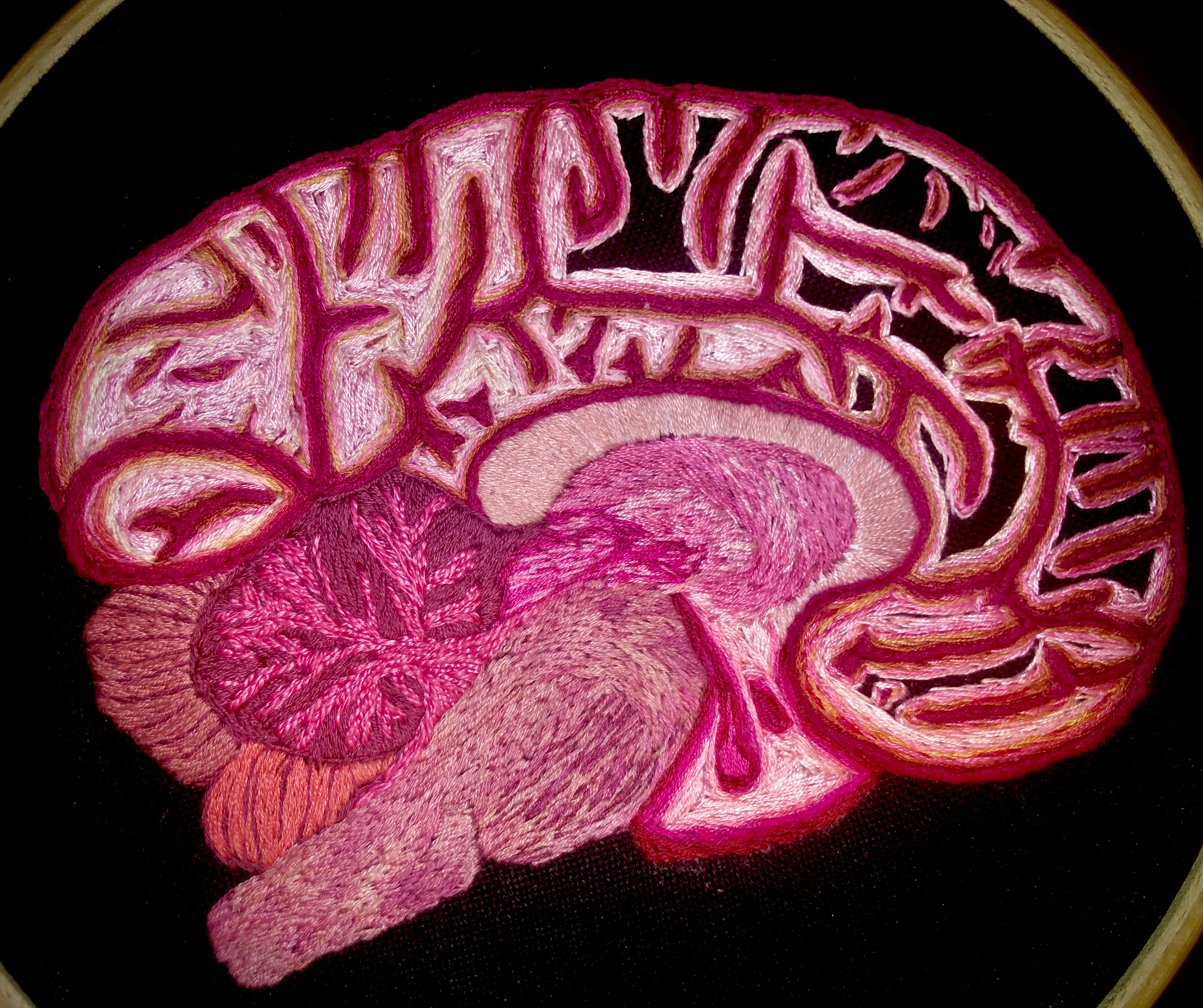 This is a piece of embroidery of a human brain. It is highly detailed and shows all the different lobes.