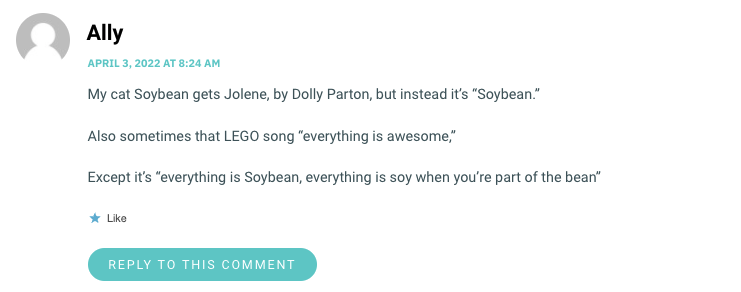 My cat Soybean gets Jolene, by Dolly Parton, but instead it’s “Soybean.