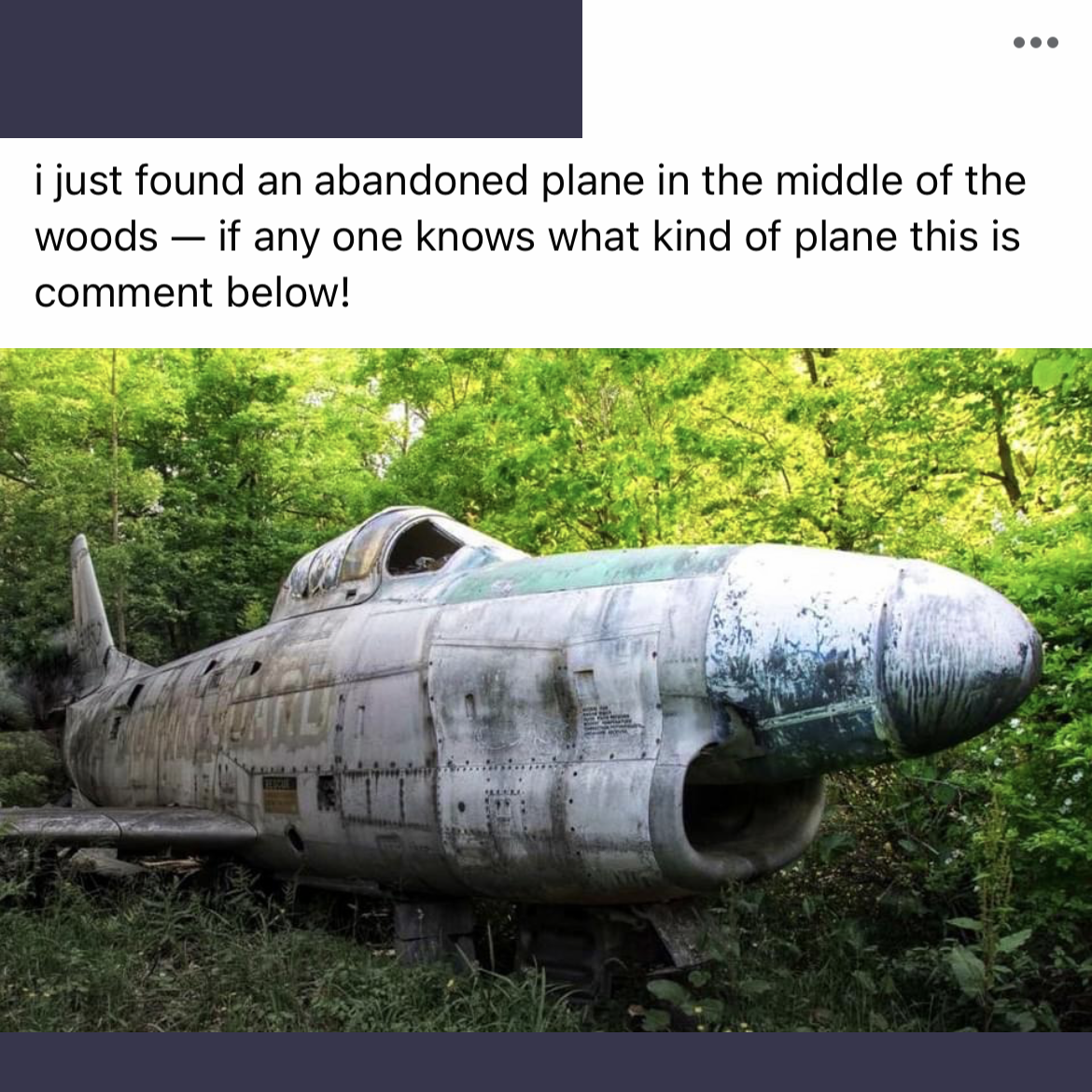 text from the social media poster reads "i just found an abandoned plane in the middle of the woods - if anyone knows what kind of plane this is comment below! then there is a photo of an abandoned old looking potentially propeller plan deep in verdant green woods. it is a little worn down.