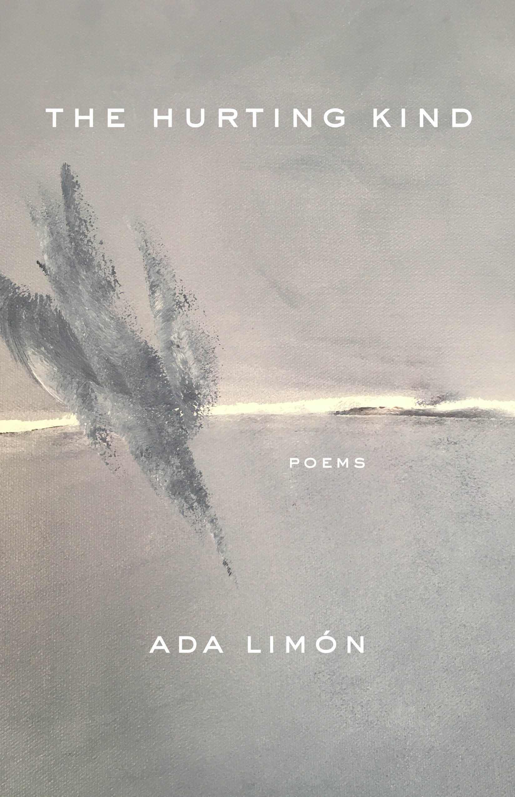 the cover of the hurting kind - features an abstract gray painting