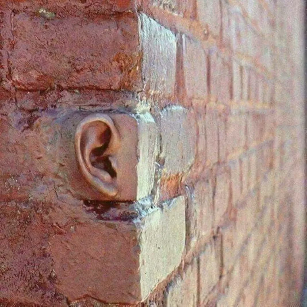 a fabricated human ear is integrated into a brick wall