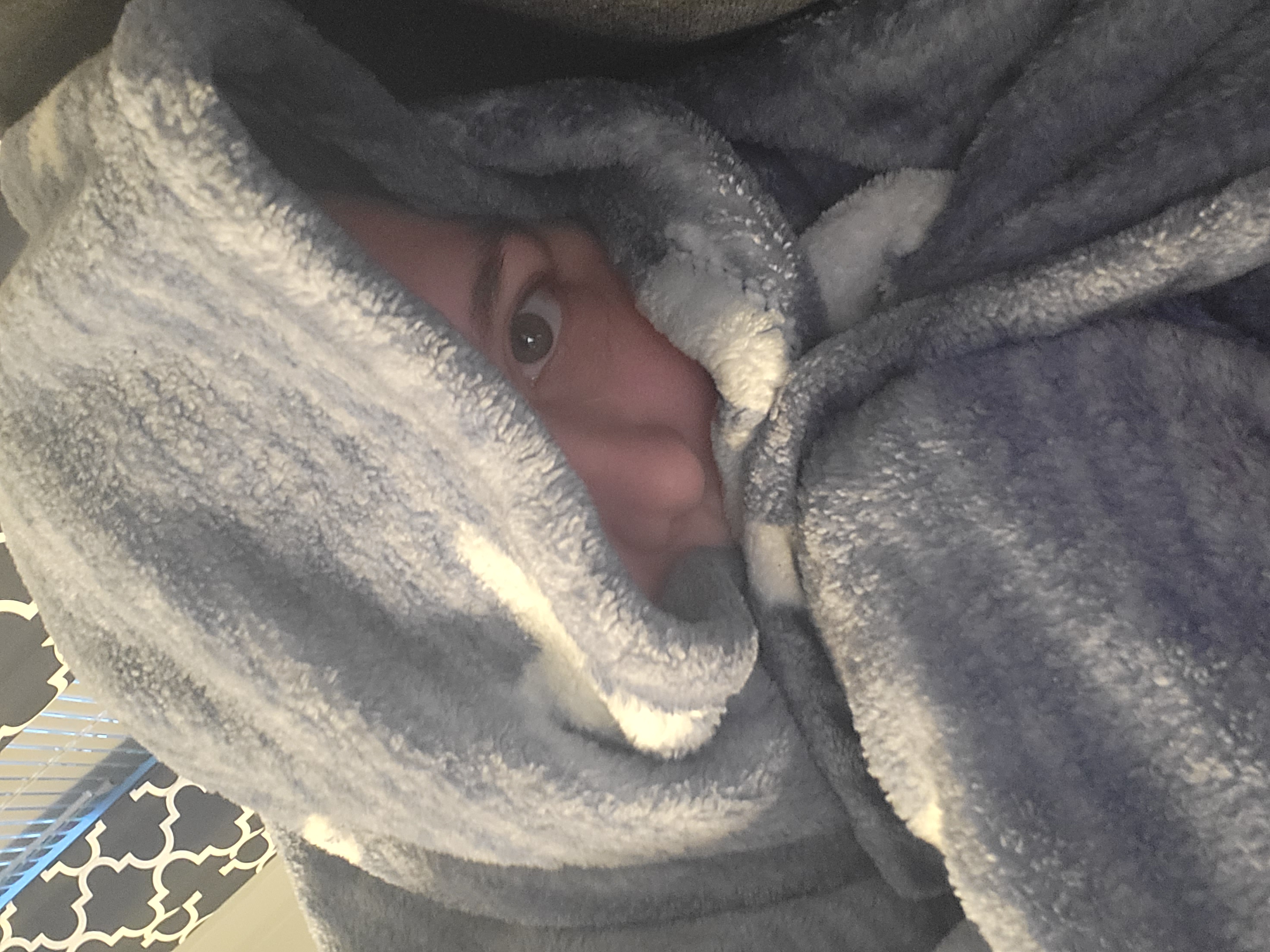 Valerie, a white woman, peeks out from a blanket wrapped around head and upper body