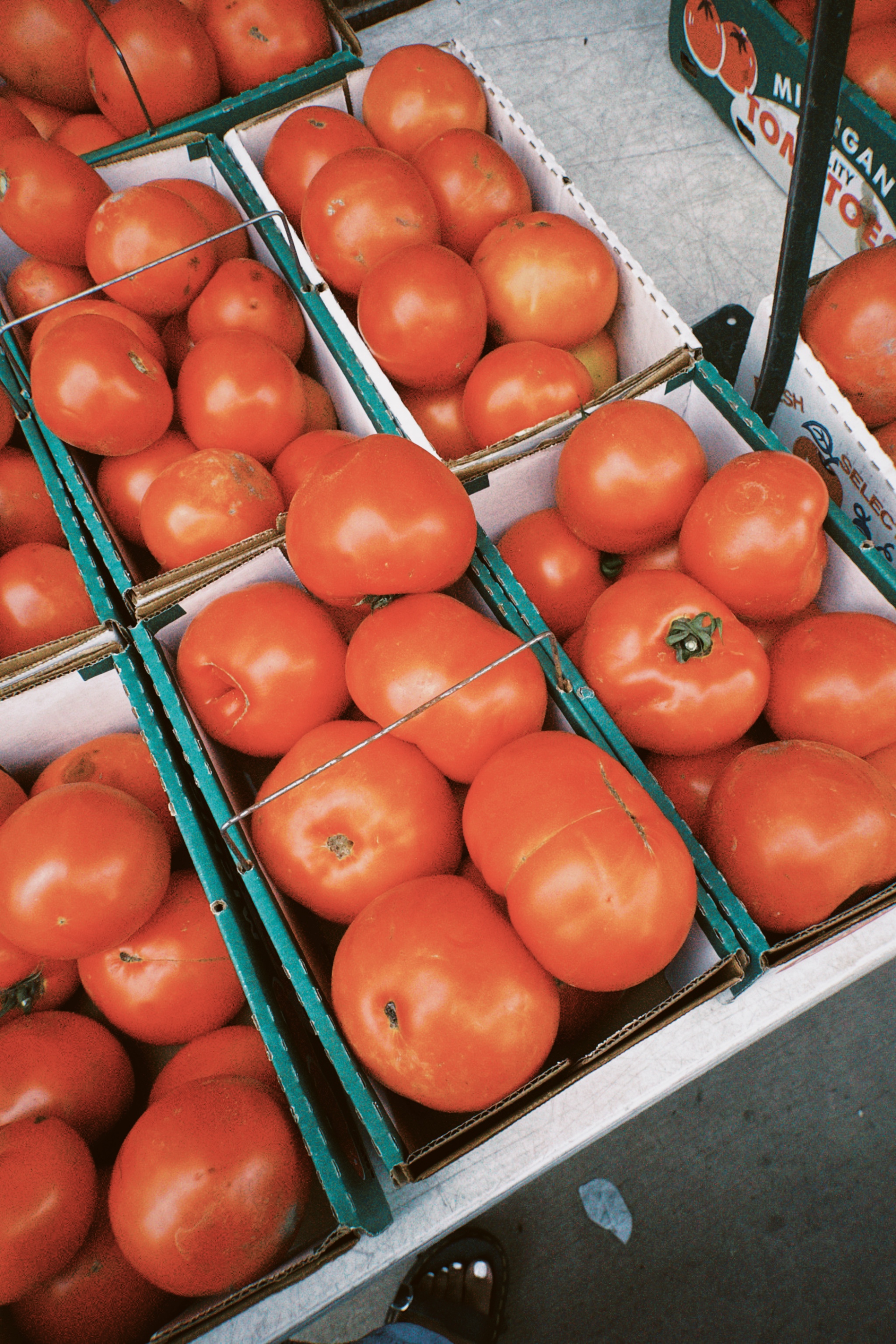 A table full of tomatoes at the farmer's market