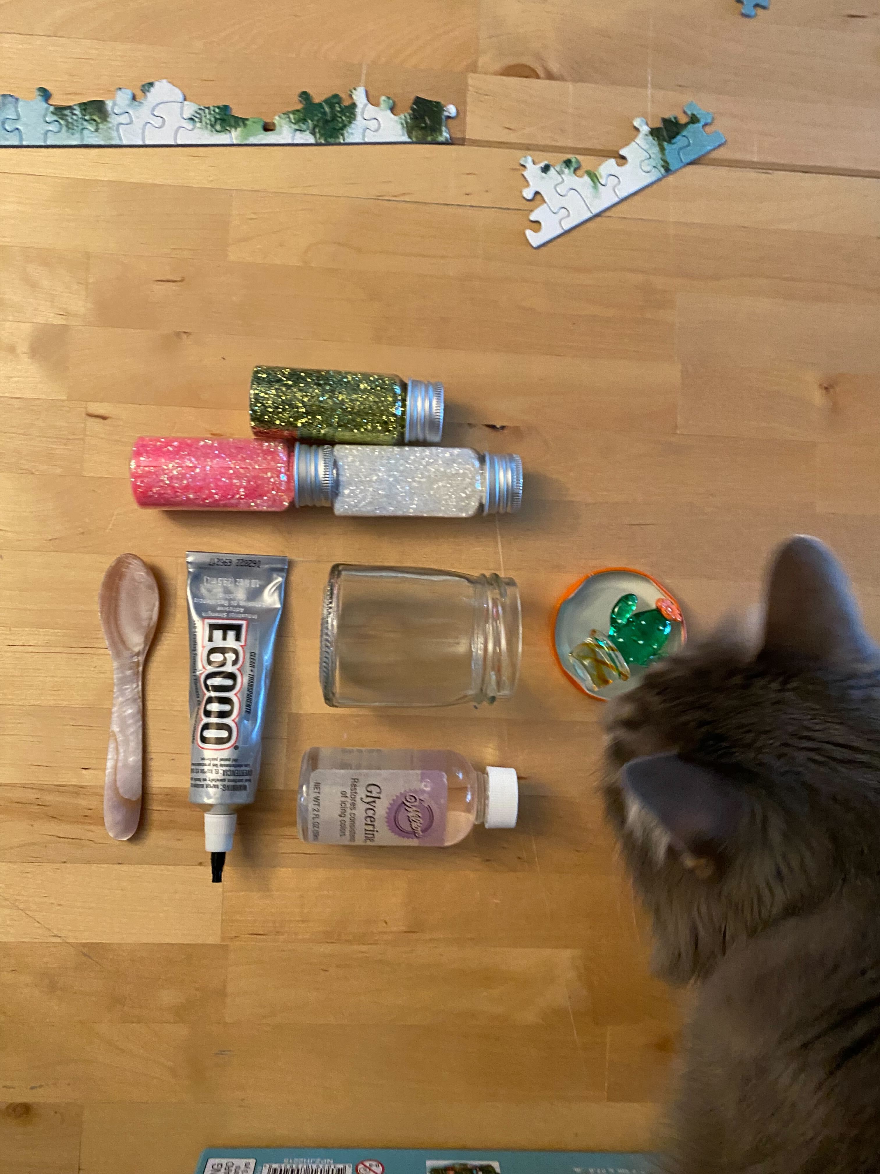 winona the cat looks upon the sundry organized snow globe making supplies laneia has organized