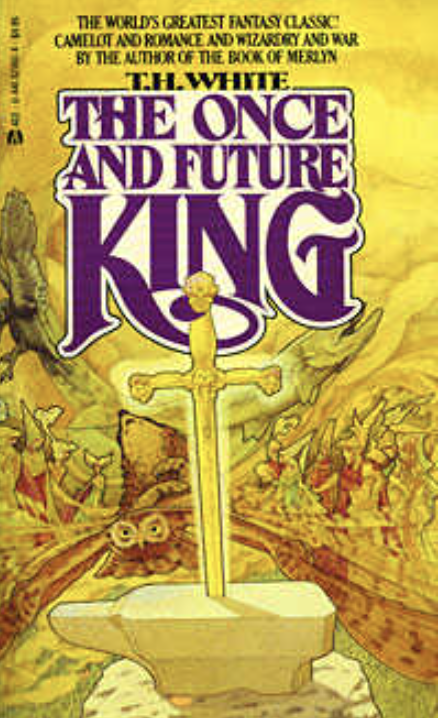 the cover of the once and future king - it does not have a wizard on it but does have a sword