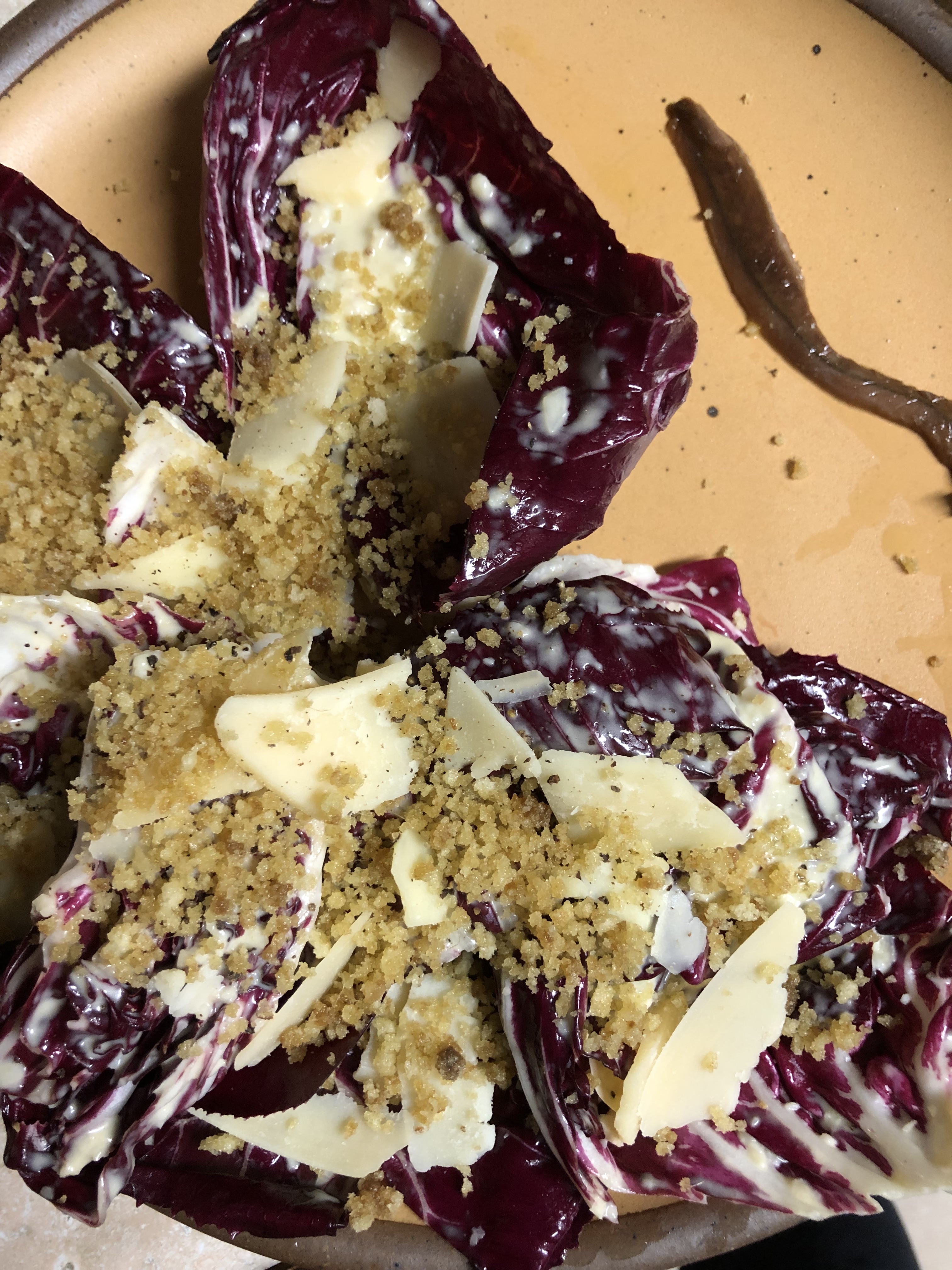 a radicchio salad with shaved parmesan, anchovy breadcrumbs, and one full anchovy on the side