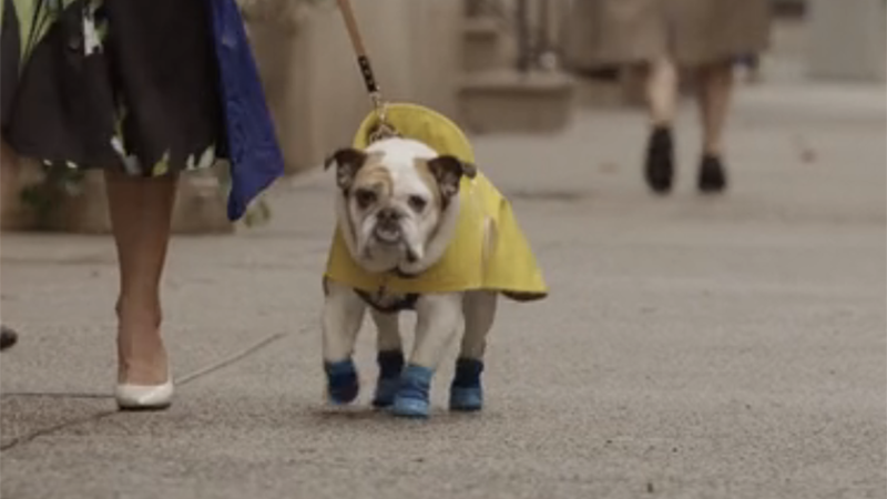 Richard Burton out walking in his rain gear.