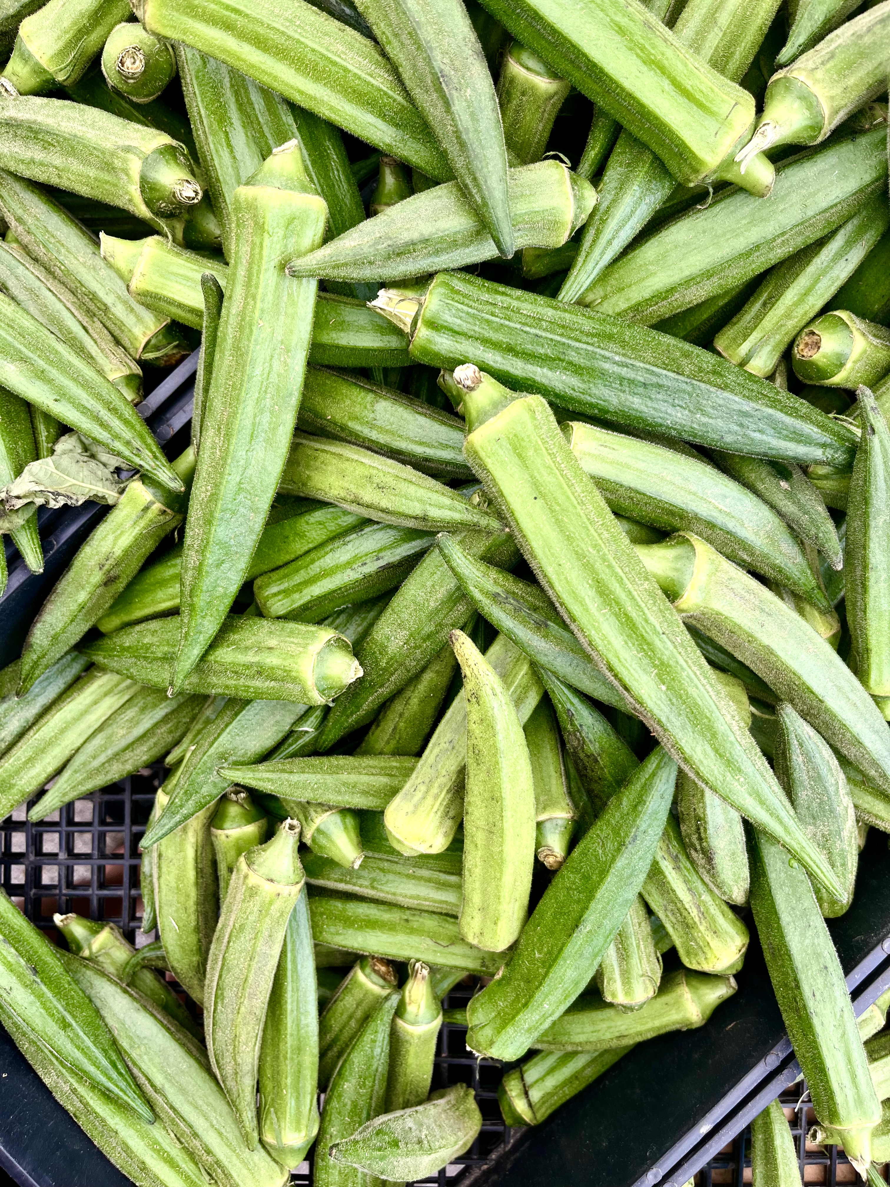 a pile of green okra