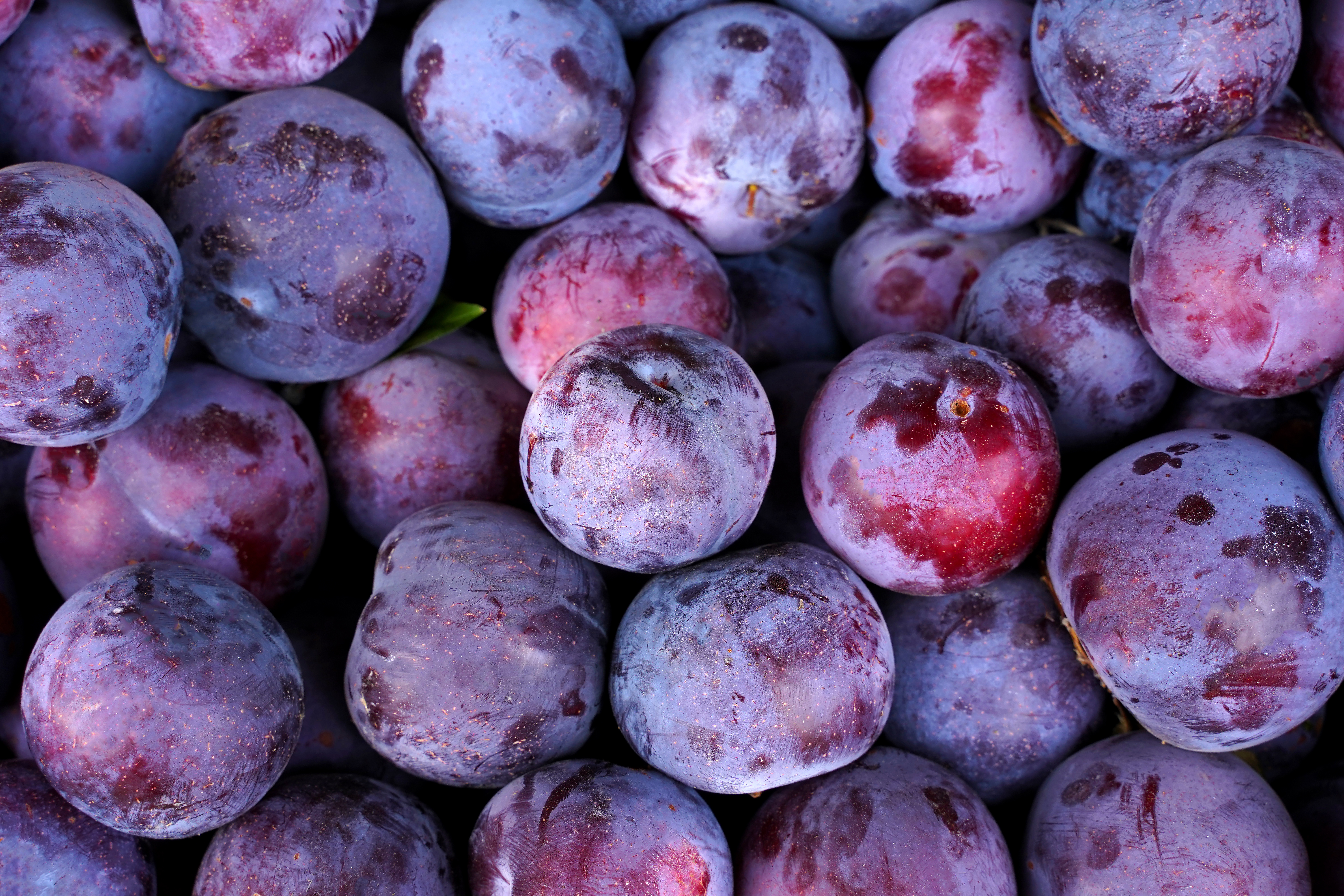 fresh ripe plums as background