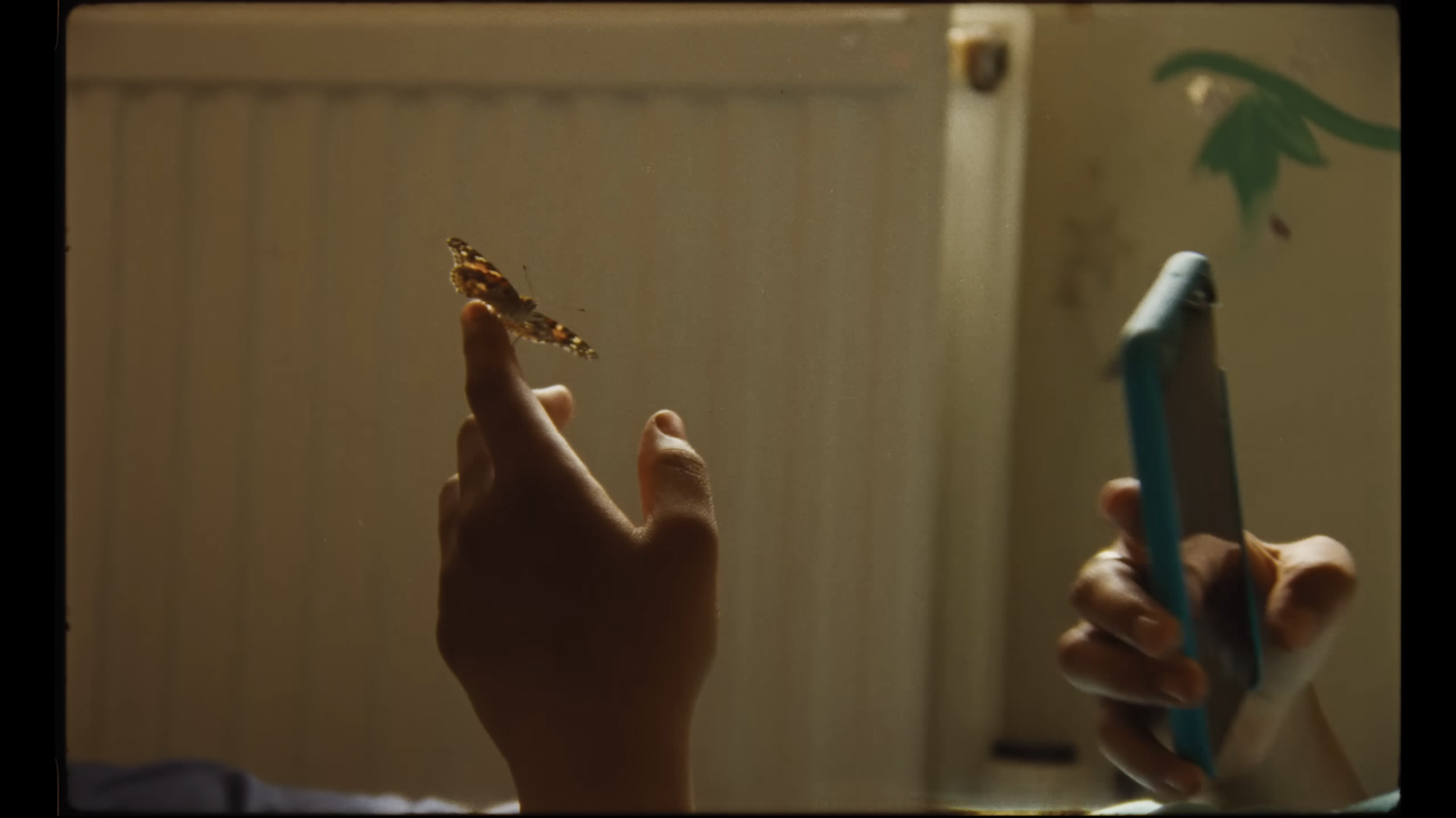 A girl films her hand with a butterfly on it on her phone in Bird