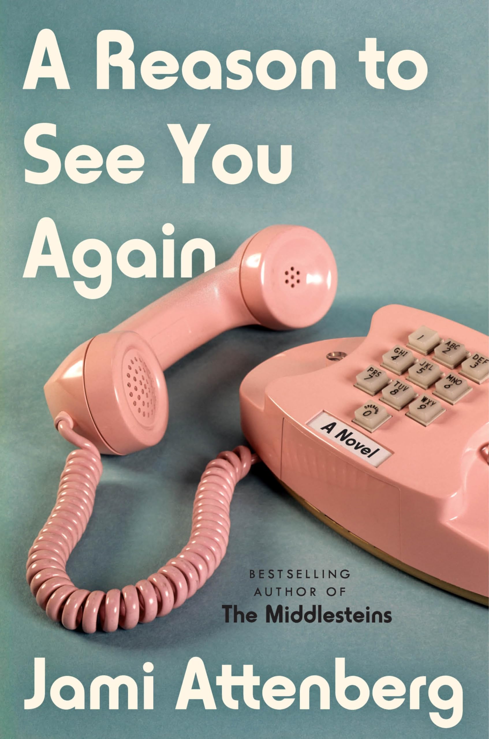A Reason To See You Again by Jami Attenberg