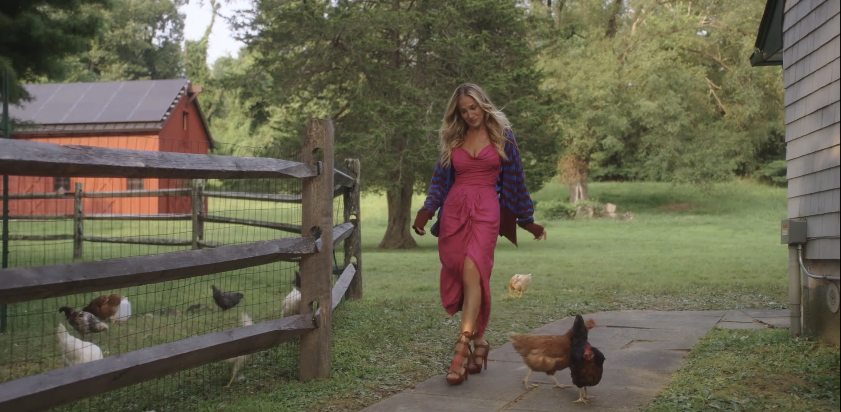 carrie in the farm walking with chickens