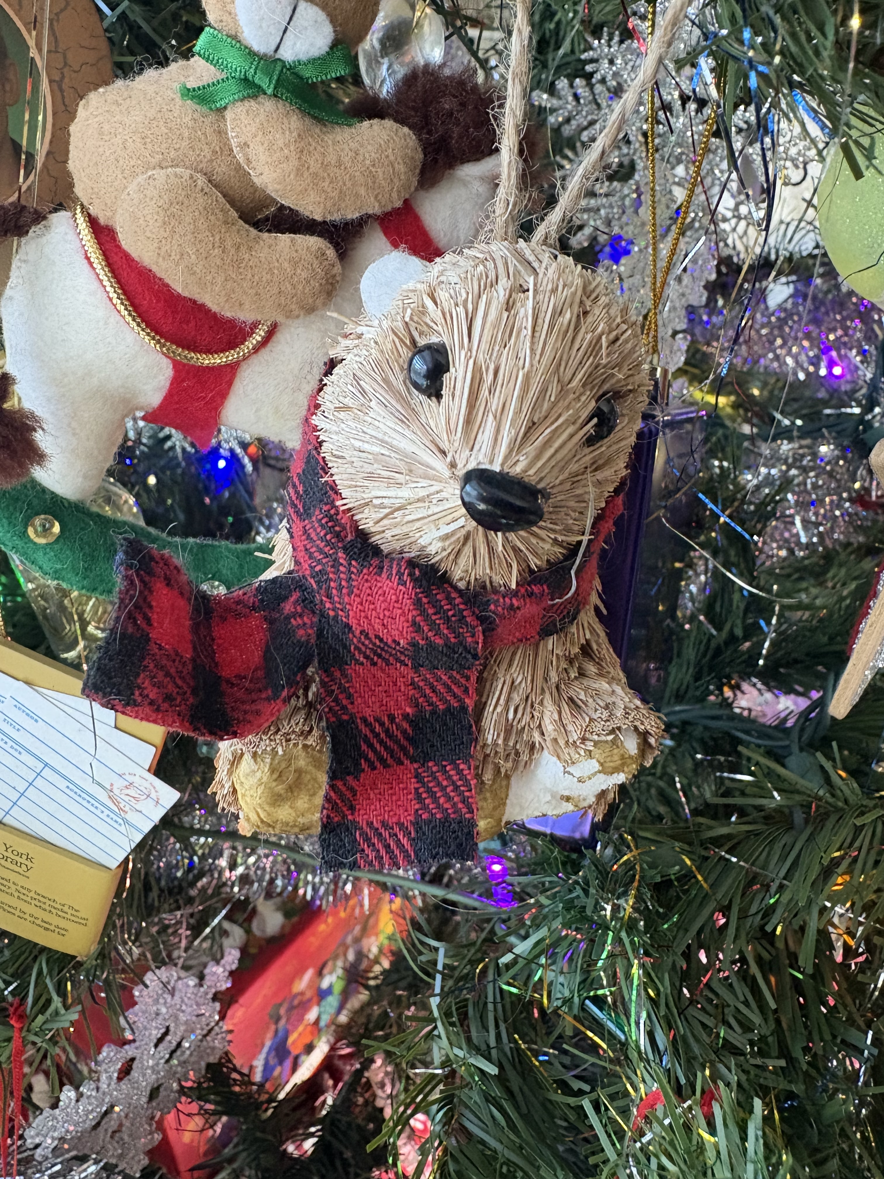 a groundhog in a scarf