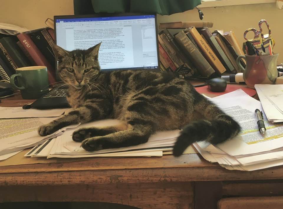 Missy on a desk