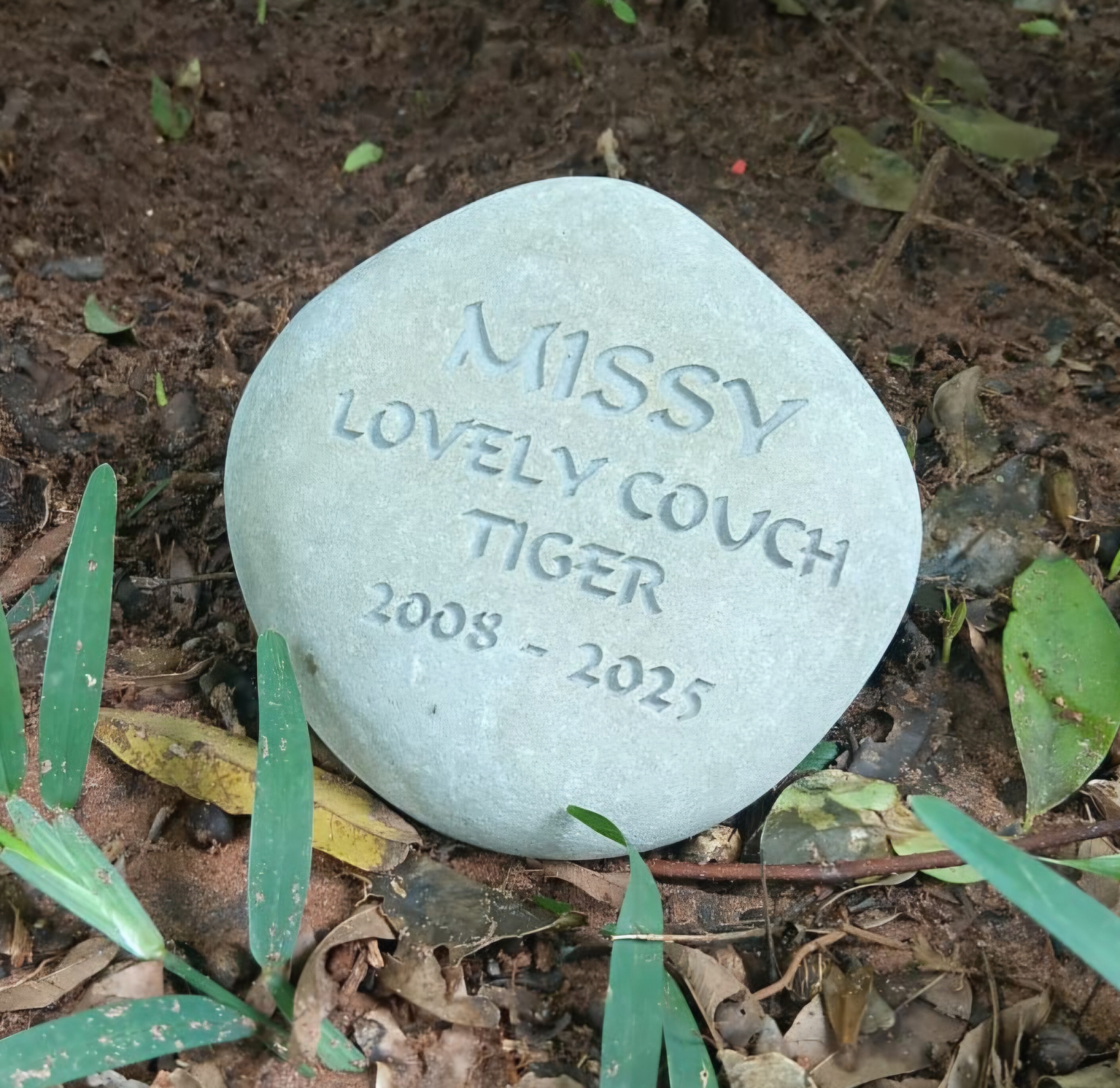 a Missy rock
