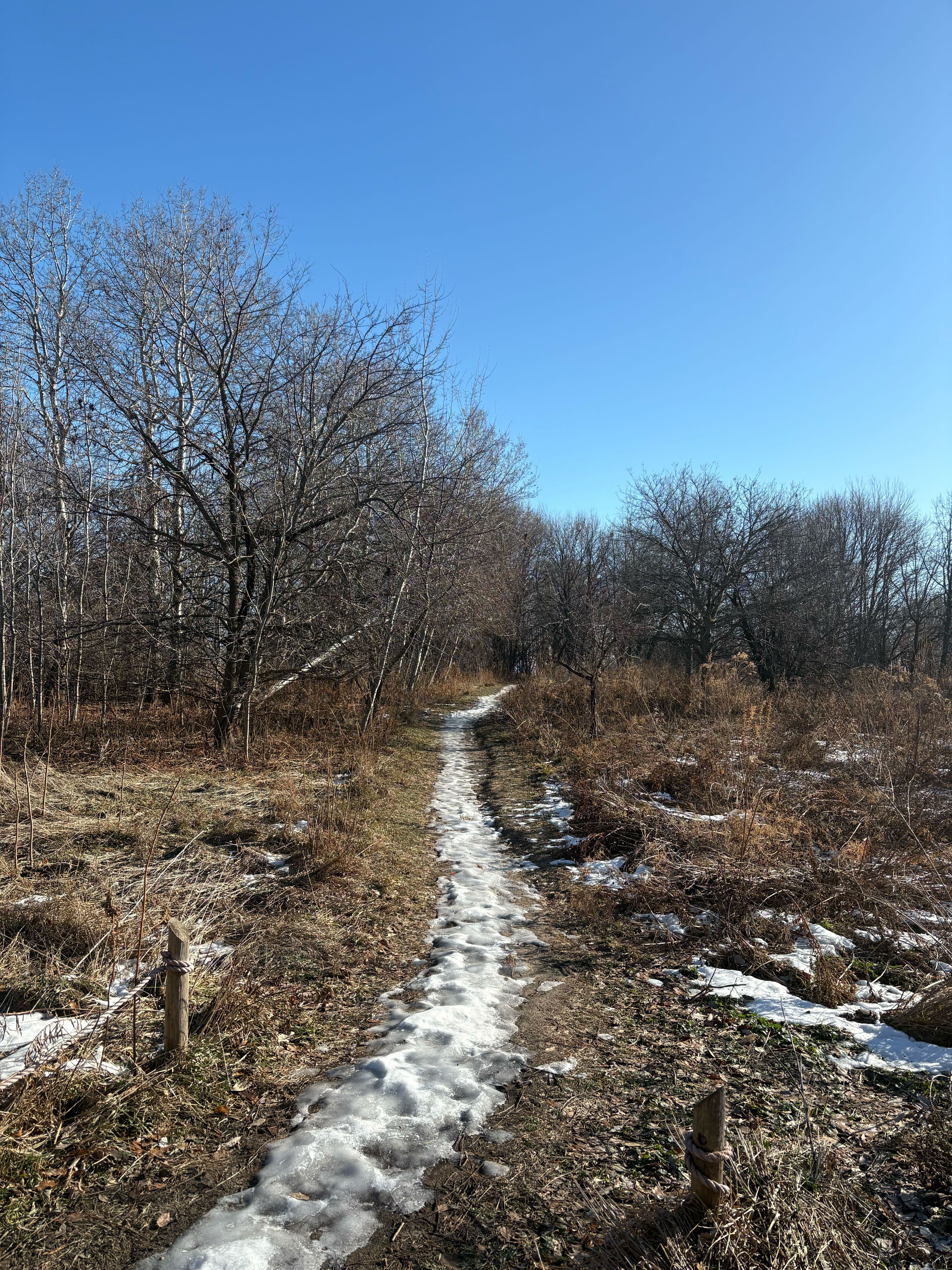a snowy path