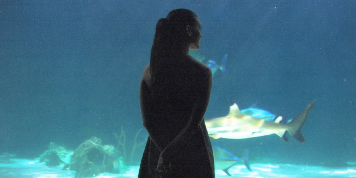 jenny looking at the manatees