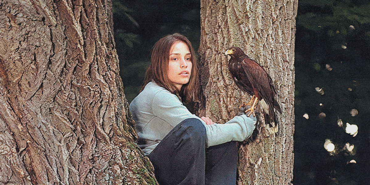 falconry