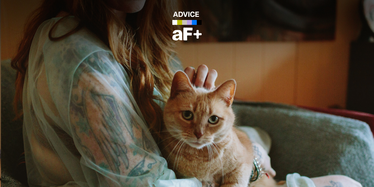 girl touching a cat