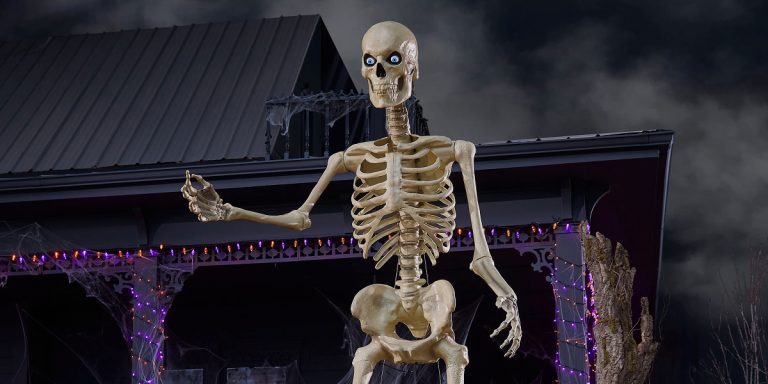 skeleton