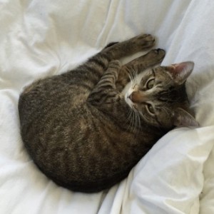 Profile picture of Clementine