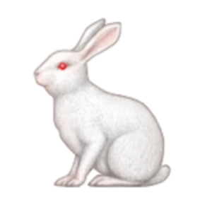 Profile picture of roschen