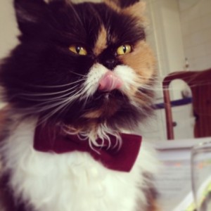 Profile picture of Polly